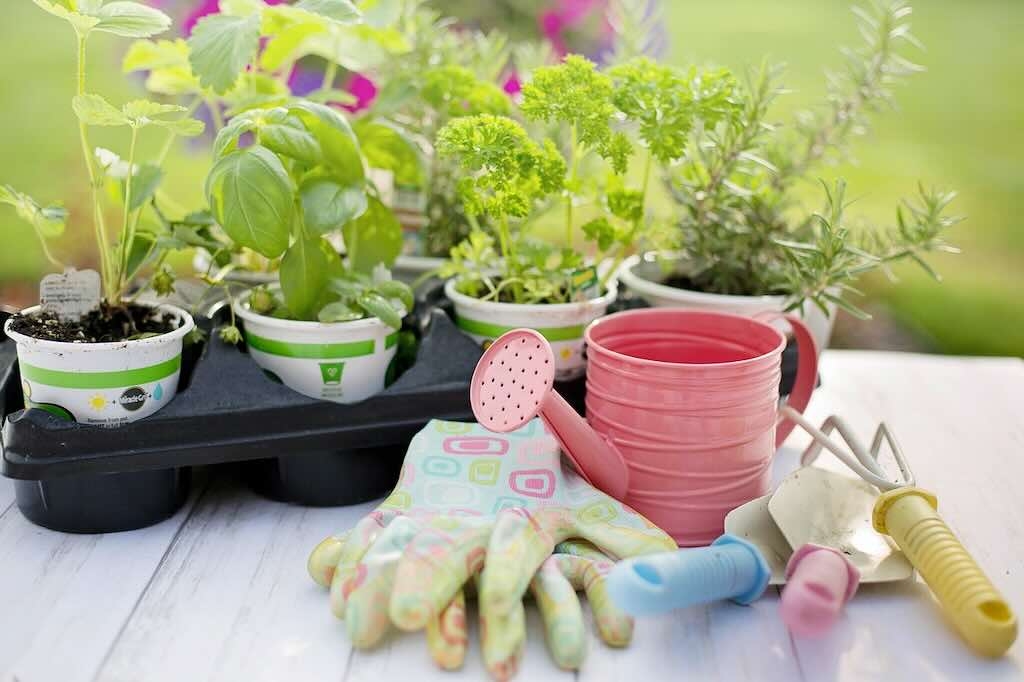 10 Best Gardening gifts for Teachers in 2024