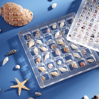 FinGlass Seashell Display Case